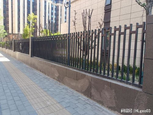 2025年专注护栏网生产与批发 河北森恒，您的可靠选择